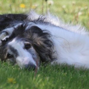 Meet your Posher, Kristine